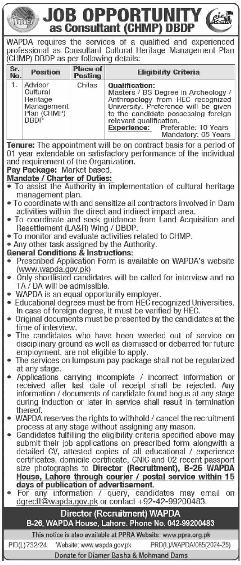 Job Opportunity at WAPDA as Consultant (CHMP) DBDP