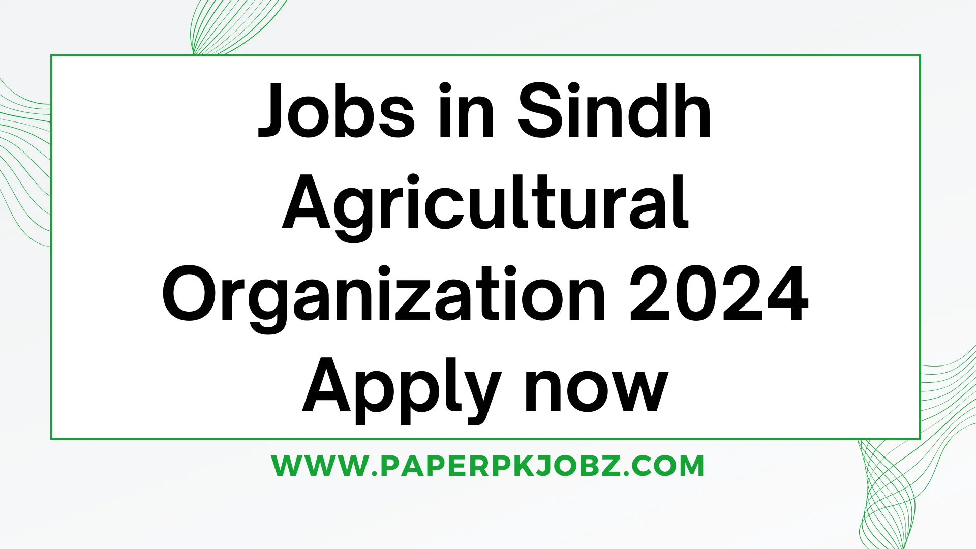 Jobs in Sindh Agricultural Organization 2024 Apply now