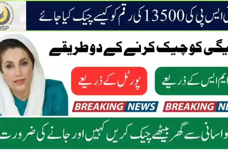 How to Apply for 8171 BISP 13500 Payment in May 2025