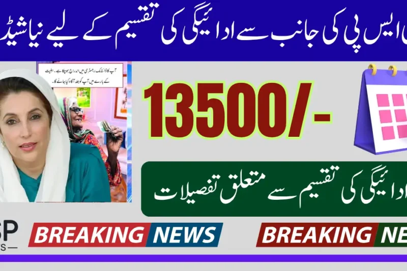 BISP June 2025 Payment Schedule District Wise Released Know Full Details Step By Step