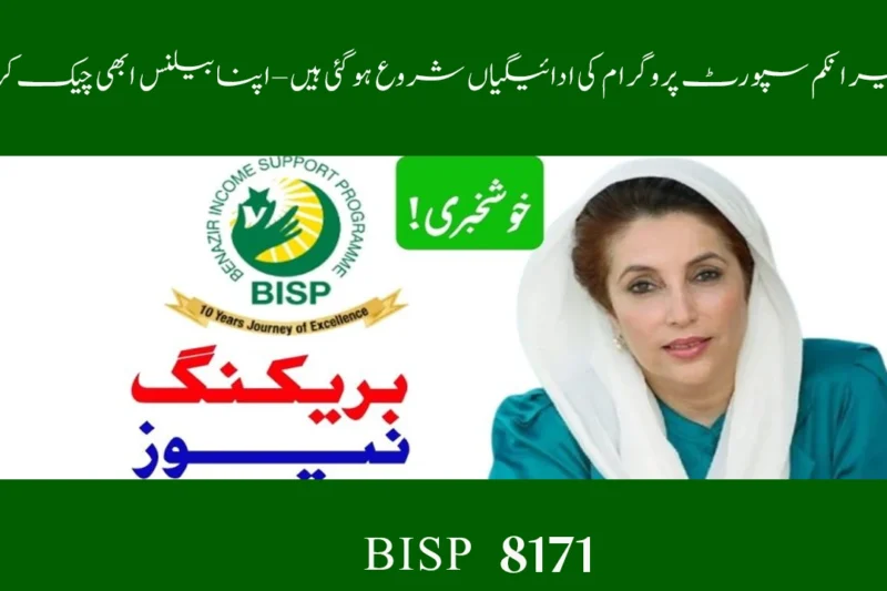 BISP Payments Have Started – Check Your Balance Now