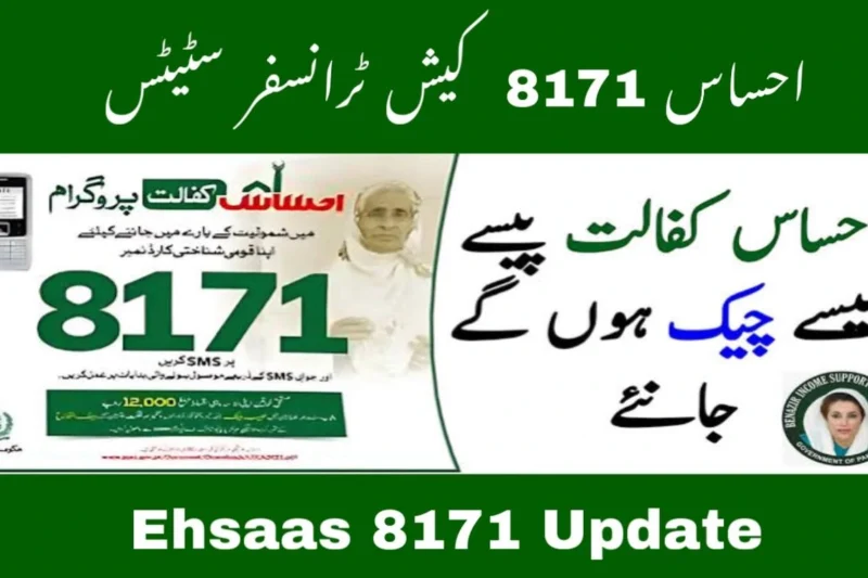 How to Check Ehsaas 8171 Cash Transfer Status – June 2025 Guide